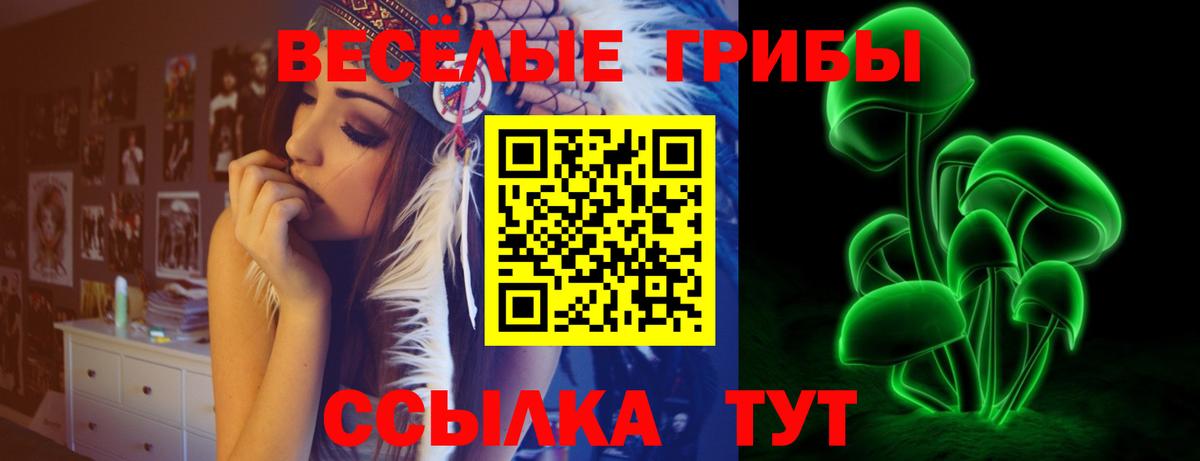 Долгопрудный  Галлюциногенные грибы Magic Shrooms  Вход с VPN 
